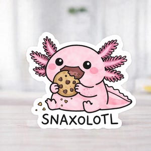 Könnte beinhalten: Ein rosa Axolotl-Aufkleber mit schwarzen Augen und rosa Kiemen, der einen Keks isst. Der Aufkleber trägt den schwarzen Schriftzug "SNAXOLOTL". Das Axolotl sitzt.