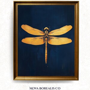 Può includere: Una stampa artistica incorniciata raffigurante una libellula dorata centrata su uno sfondo blu navy profondo. La libellula presenta ali dettagliate dall'aspetto traslucido e un corpo segmentato. L'opera è racchiusa in una cornice dorata metallica.