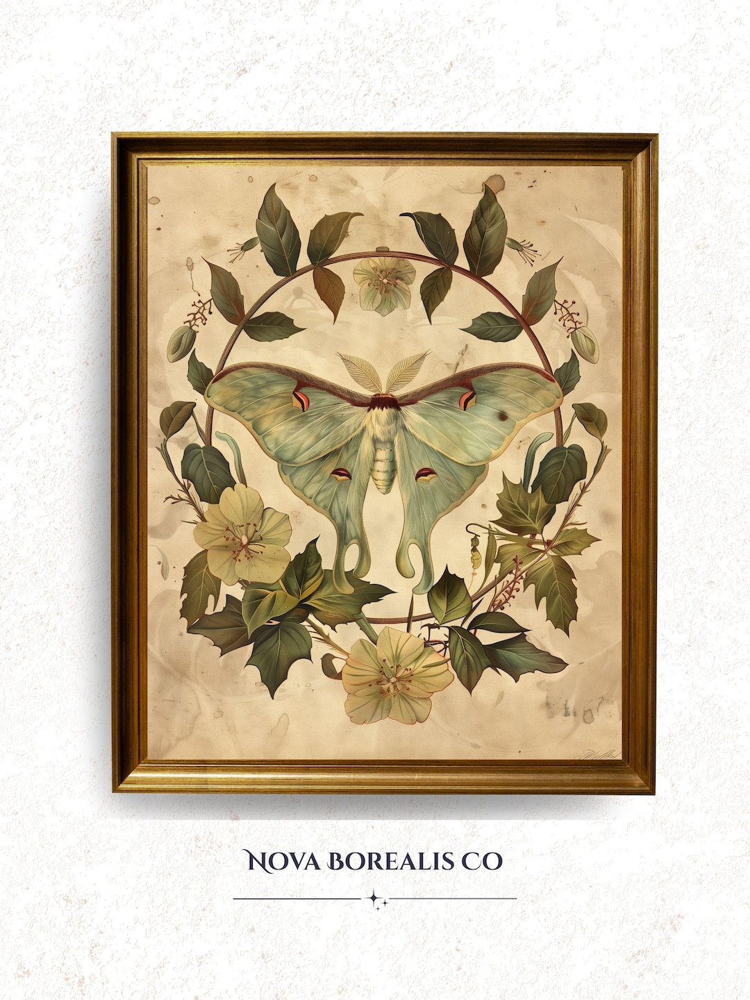 Vintage Luna Moth Print - Botanical Illustration, Cottagecore Wall Art ...