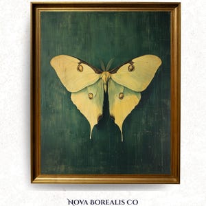 Arte imprimible de polilla Luna vintage - Decoración rústica estilo cottagecore, pintura de historia natural rústica, alas extendidas color chartreuse, descarga digital 367