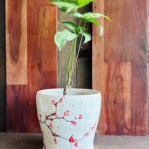 Puede incluir: Una maceta de cerámica blanca con un diseño floral rojo pintado a mano, que contiene una planta de hojas verdes. La maceta tiene una forma ligeramente curvada y se encuentra sobre una superficie de madera. El fondo es una pared de madera con tablones verticales.