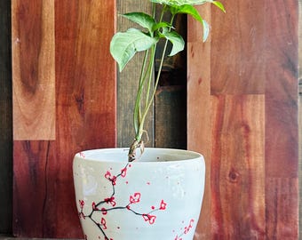 Ceramate by Ranmaru Ceramic Planter - Etsy