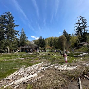 May include: A wide shot of a grassy field with a group of people gathered in the background. The field is covered in driftwood and there is a blue sky with white clouds above.