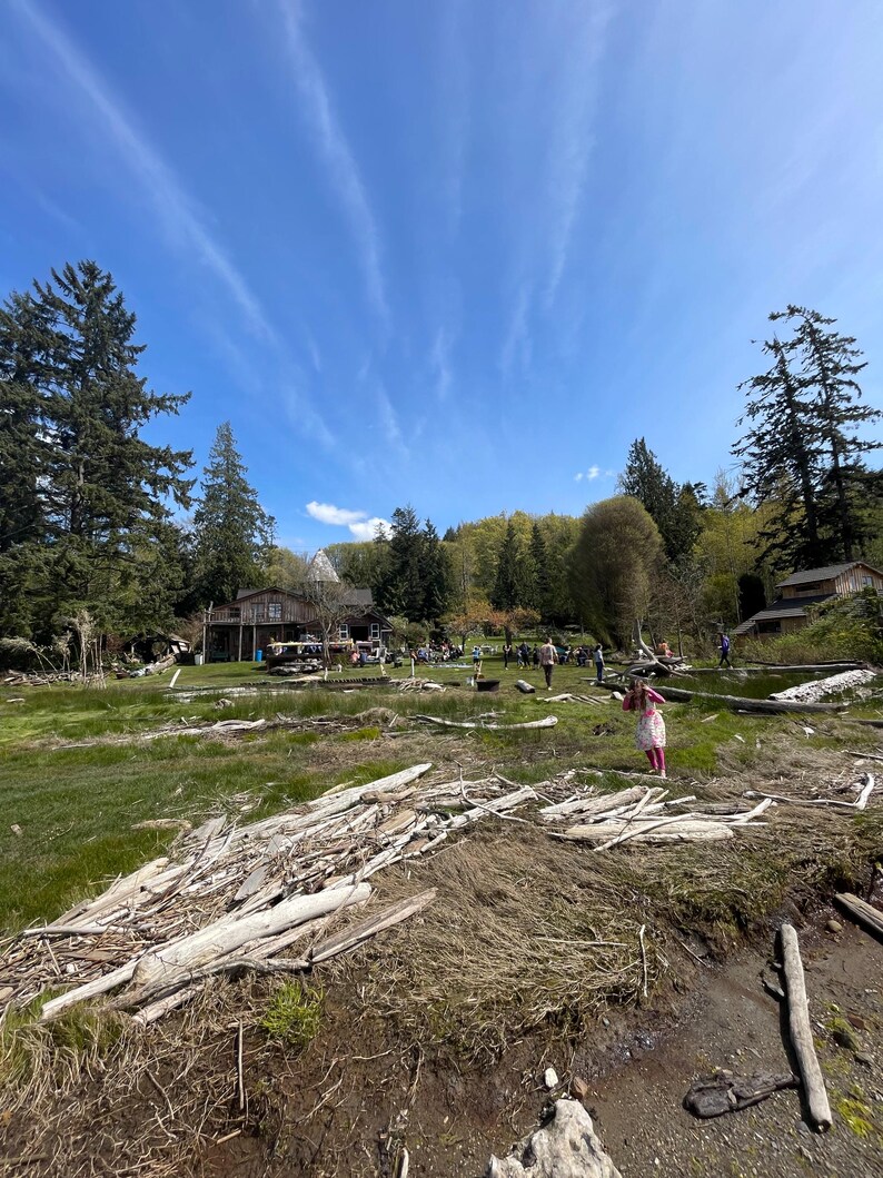 May include: A wide shot of a grassy field with a group of people gathered in the background. The field is covered in driftwood and there is a blue sky with white clouds above.
