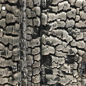 May include: Close-up of a charred wooden surface with a rough, textured pattern. The wood has a dark grey colour with black streaks and cracks.