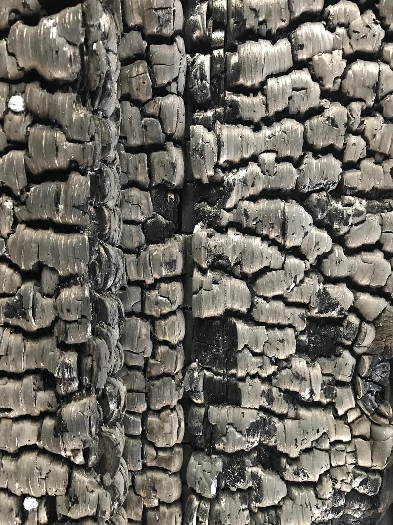 May include: Close-up of a charred wooden surface with a rough, textured pattern. The wood has a dark grey colour with black streaks and cracks.