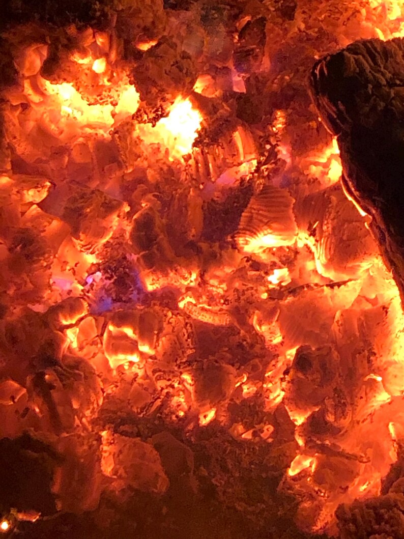 May include: Close-up of glowing red and orange embers in a fire pit. The embers are surrounded by dark grey ash.