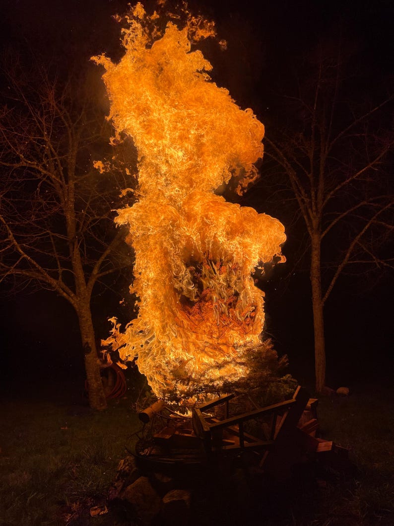 May include: A large bonfire burns brightly against a dark night sky. The flames are tall and orange, reaching up towards the trees in the background.