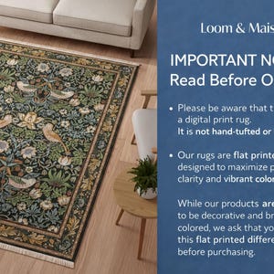 The image is a collage of two images. The left image shows a large, intricately designed rug with a floral pattern, while the right image depicts a living room setting with a couch and a potted plant.