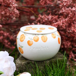 May include: A white ceramic jar with a lid, adorned with hand-painted orange peaches and green leaves. The word "Peaches" is embossed on the jar's front. The jar is sitting on a stone, with a blurred background of pink flowers and green grass.