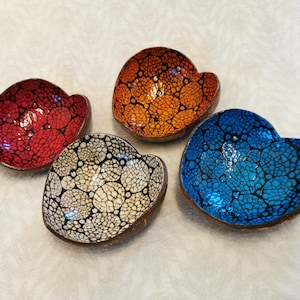Coconut shell with circular eggshell mosaic