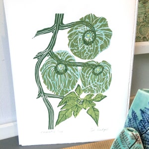 Clematis Linocut Print Original image 2