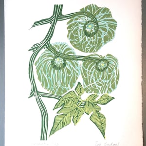 Clematis Linocut Print Original image 1