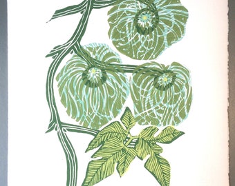 Clematis Linocut Print Original