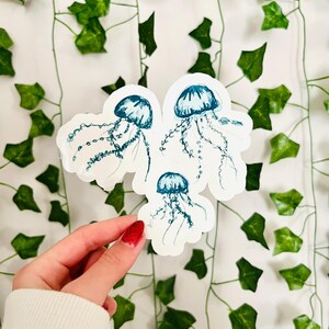 Jellyfish sticker
