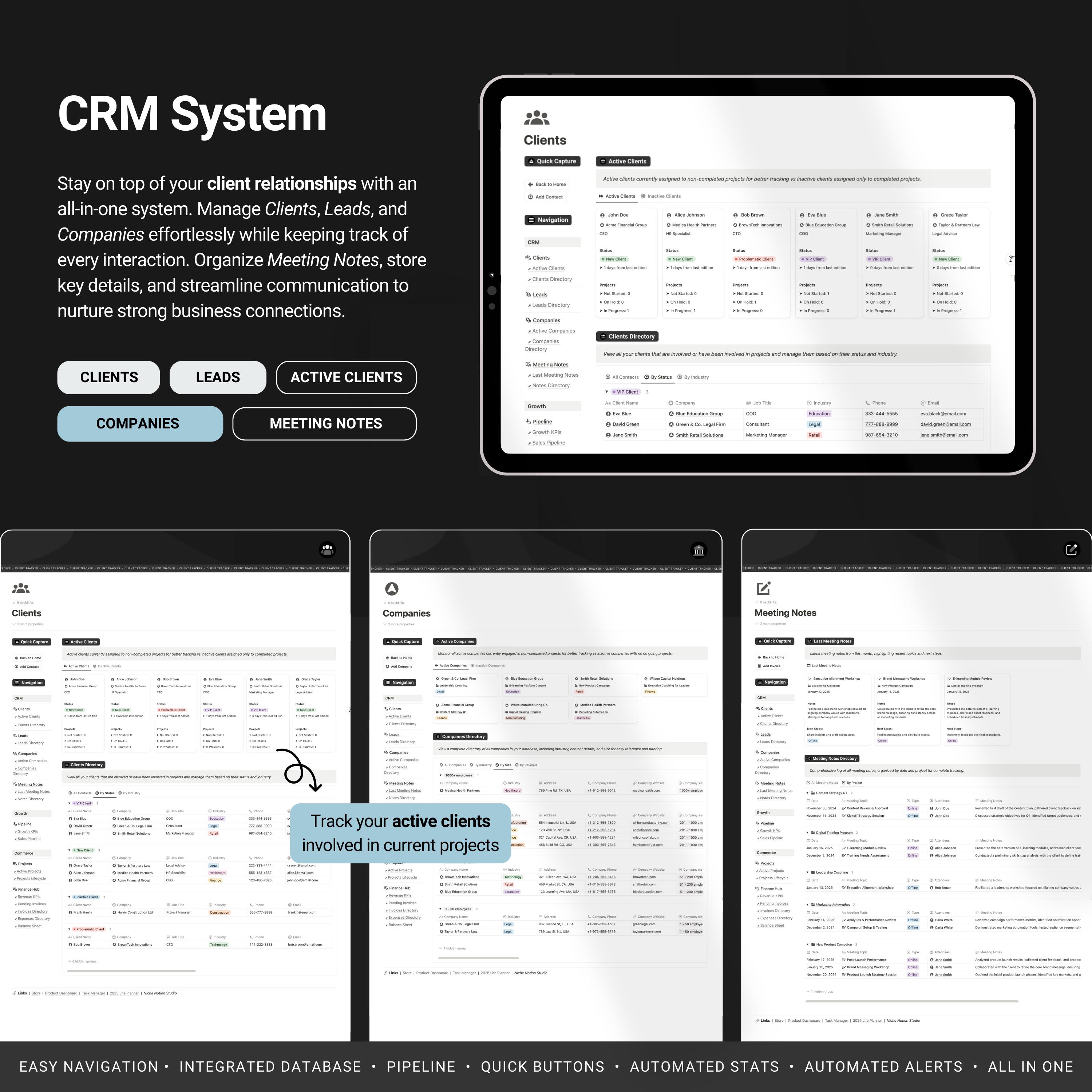 Notion CRM Client Tracker Template | Client Management, Project Tracker ...