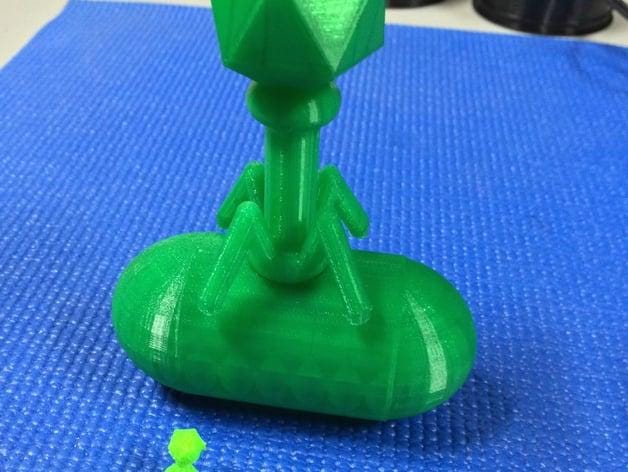 Educational Model of A Bacteriophage – Science Learning Tool for Studying Viruses and Microbiology