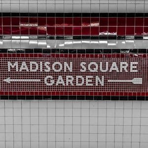 Madison Square Garden