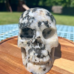 Może przedstawiać: Rzeźbiona figurka czaszki wykonana z nakrapianego białego i czarnego kamienia. Czaszka ma szczegółowe cechy, w tym oczodoły, jamę nosową i pełny zestaw zębów. Figurka jest wystawiona na drewnianej powierzchni, z rozmytym zielonym tłem.