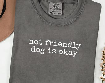 Funny Sarcastic Shirt, Funny Dog Lover Tee, Comfort Colors®, Sarcastic Shirt, Viral Quote Tee, Dog Mom Gift, Humor Shirt, Introvert Gift