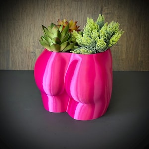 Op de afbeelding: Een felroze plantenbak in de vorm van een achterwerk, met een verscheidenheid aan groene en gele vetplanten. De plantenbak heeft een gladde, glanzende afwerking en is ontworpen voor kleine planten. De achtergrond is een donkergrijze ondergrond en een houten muur.