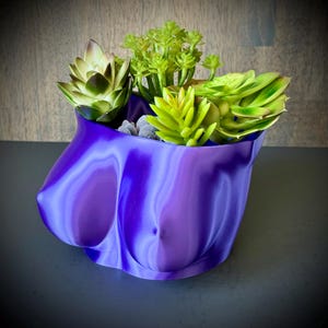 Succulent Boob - Etsy Canada
