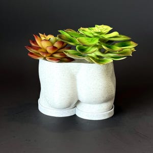 Muscular Man Butt Pot, male rear end planter for succulents and indoor plants