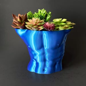 Könnte beinhalten: Ein blauer Topf in Form eines menschlichen Torsos mit verschiedenen Sukkulenten, die darin gepflanzt sind.
