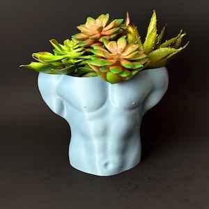 May include: A light blue planter shaped like a torso with a variety of succulents growing out of the top.