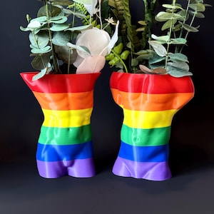 Pride Collection Male Torso Vases, Muscular Men Flower Pots for Plants or Succulents
