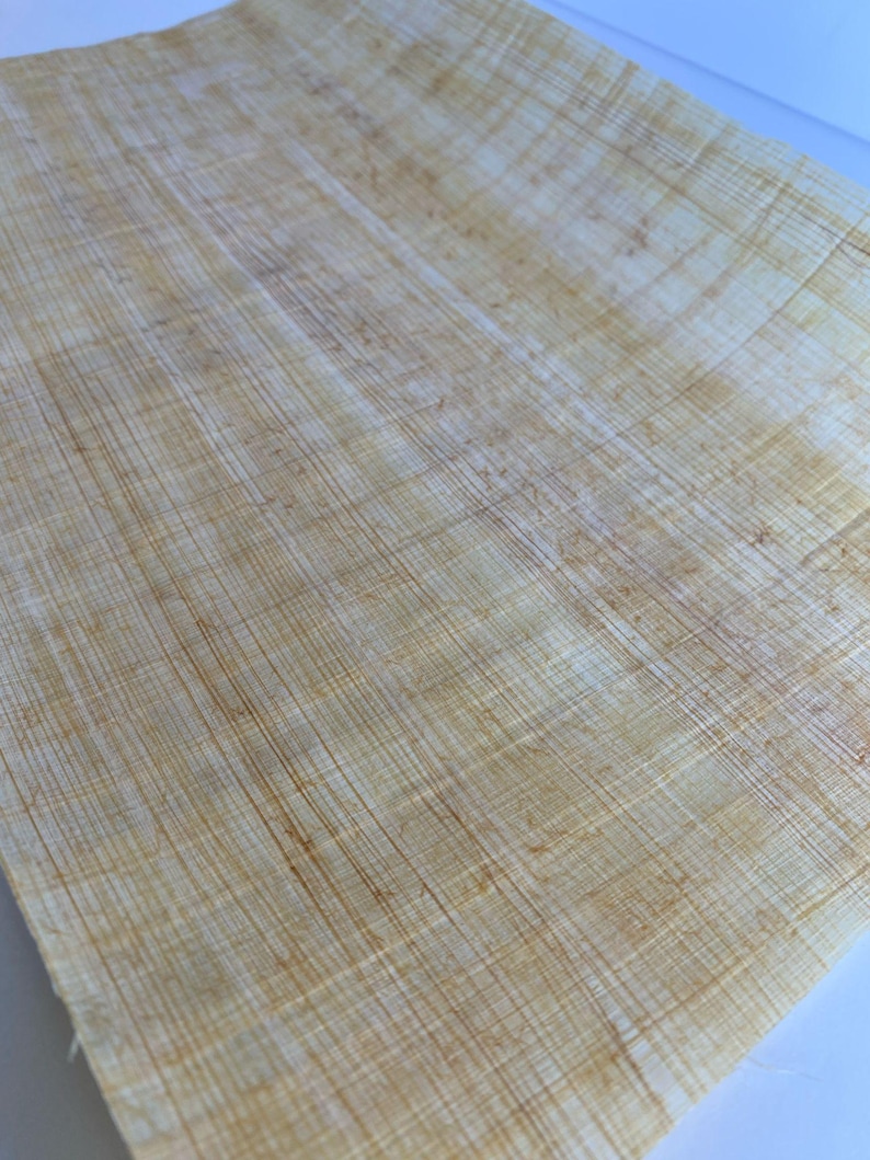Pyrus Paper Handmade Egyptian Papyrus Sheets: Art Projects, Teaching, Scrapbooking ...