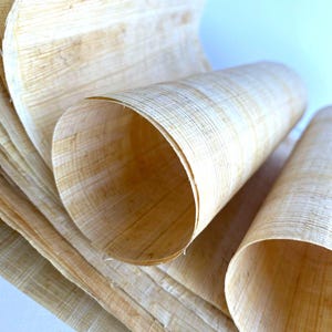 Handmade Egyptian Papyrus Sheets: Art Projects, Teaching, Scrapbooking
