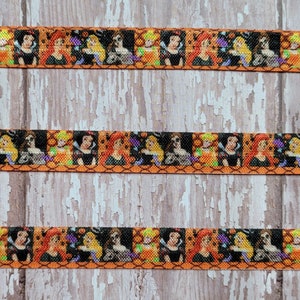 Halloween Costumed Inspired Theme Park Princess Fold Over Elastic, 5/8&quot;