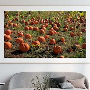 Pumpkin Patch Photograph, Fall Fine Art Photography, Rustic Farmhouse Wall Art, Seasonal Harvest Decor, Country Landscape Poster