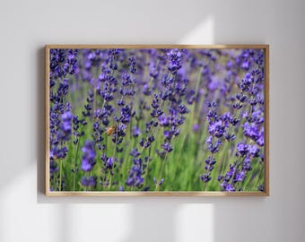 Lavendel Blumen Fotografie, lila Blumenwandkunst, Naturfotografie, botanisches Wohndekor