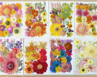 35PCS Pressed Dried Flowers & Leaves: Resin Art, Bookmarks, Card Making