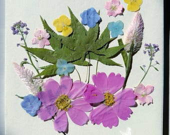 18pcs Pressed Flowers and Leaves: Colorful Resin Art Supplies