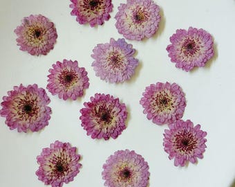 May include: A collection of dried, pressed flowers with a vibrant purple hue and a yellow center, arranged on a white surface. The flowers have a layered petal structure, creating a textured appearance. The overall composition is delicate and natural.