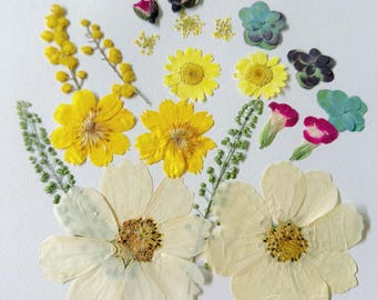 20pcs Pressed Flowers and Leaves: Resin Art & Crafting Supply, Cake Deco,