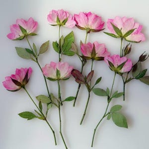 Puede incluir: Arreglo de flores de rosas rosas con tallos y hojas verdes sobre un fondo blanco. Las flores están en varias etapas de floración, con algunos pétalos que muestran delicadas vetas. Vista superior.