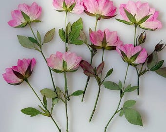 Rosas secas prensadas: materiales para manualidades con resina y decoración de pasteles (12 unidades)