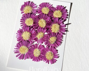 May include: A collection of 12 pressed purple flowers with yellow centers arranged in a heart shape on a white background. The flowers are all the same size and shape, and they are all in perfect condition. The background is a simple white card with the text "FloralFairy" printed in black at the bottom.