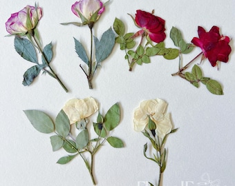 May include: Arrangement of dried roses in shades of pink, red, and cream, with green leaves and stems. The flowers are arranged on a white surface, showcasing their delicate textures and colors. The FloralFairy logo is visible.