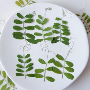 May include: A white ceramic plate with several sprigs of green leaves arranged on it. The leaves are small and oval-shaped, with delicate stems and tendrils. The plate is round and has a slightly raised edge, creating a simple, natural aesthetic.
