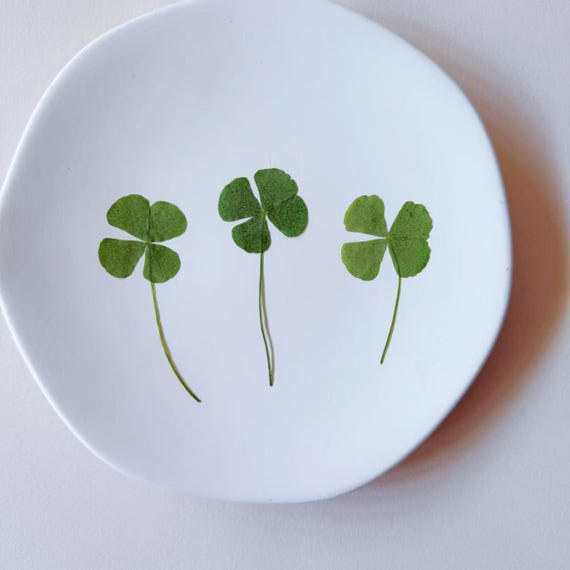 『clover様　オーダー出品ページ』 Pressed Dried Four Leaf Clover: Craft & Resin Art, Frame Deco
