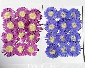 May include: Two sheets of white paper with 16 pressed flowers. The flowers are arranged in a grid pattern. The flowers on the left sheet are pink and the flowers on the right sheet are purple.