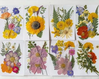 Real Pressed Dried Flowers & Leaves: Resin Art, Bookmarks, Card Making (10-12pcs)