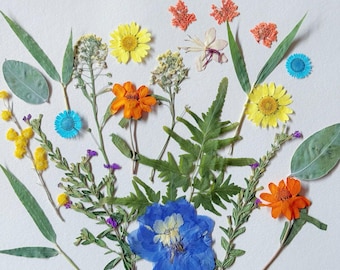 22pcs Pressed Flowers and Leaves: Crafting Supply, Cake Deco, Resin Art