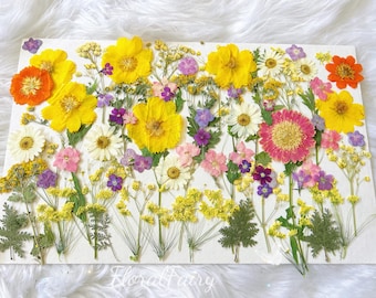 80pcs Pressed Dried Flowers: Colorful Resin Filler for Crafts