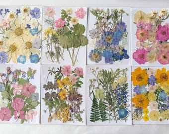 Real Pressed Dried Flowers & Leaves: Resin Art, Bookmarks, Card Making